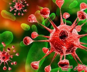 تکذیب مشاهده کرونا در استان